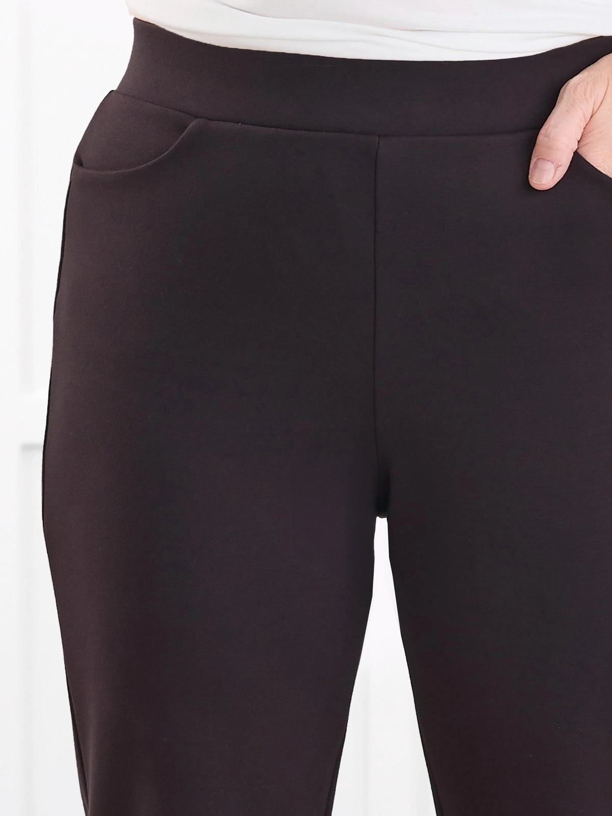 Palermo straight leg ponte dress pant for women in Espresso