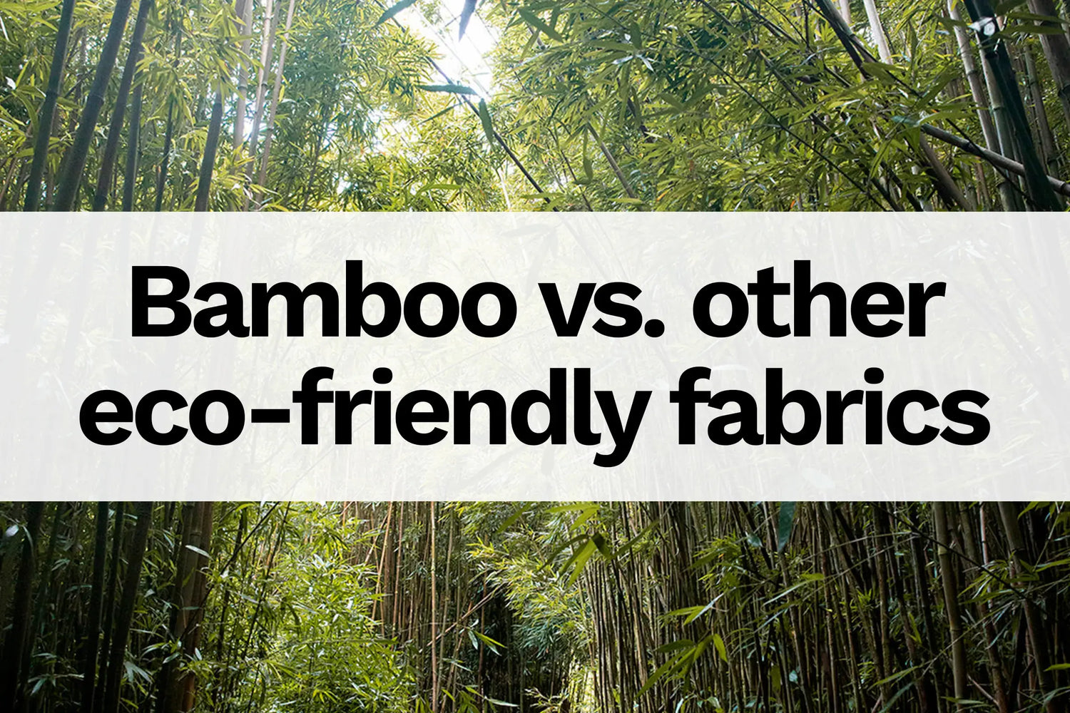 Image a bamboo forest with text overlay:Bamboo vs. other eco-friendly fabrics